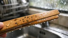 Penyepit kayu berkulat: bila patut buang dan bila masih boleh diselamatkan